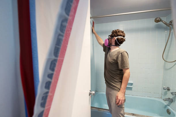Best Mold Odor Removal Services  in White Plains, NY