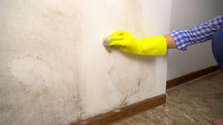 Best Residential Mold Inspection & Testing  in White Plains, NY